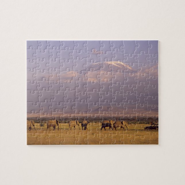 Puzzle Kenya : parc national d'Amboseli, Éléphants (Horizontal)