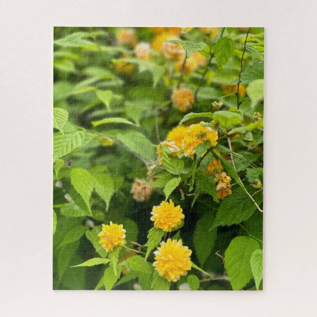 Puzzle Kerria du Japon, Séoul (Vertical)