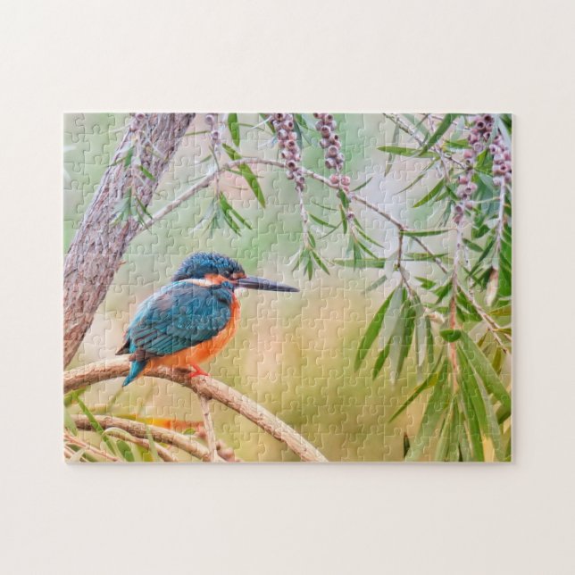 Puzzle Kingfisher Oiseau naturel Faune Arbres animales (Horizontal)