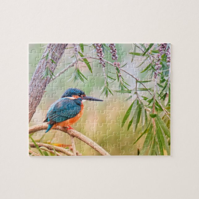 Puzzle Kingfisher Perché sur la branche (Horizontal)