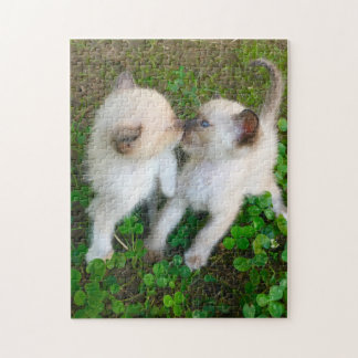 Puzzle kissing kittens