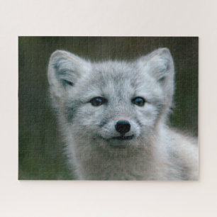 Puzzle Kit de Fox arctique des images de Getty