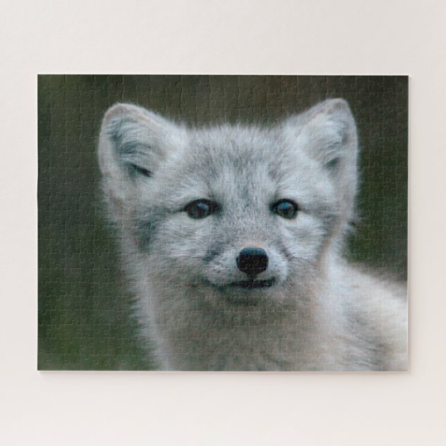 Puzzle Kit de Fox arctique des images | de Getty (Horizontal)