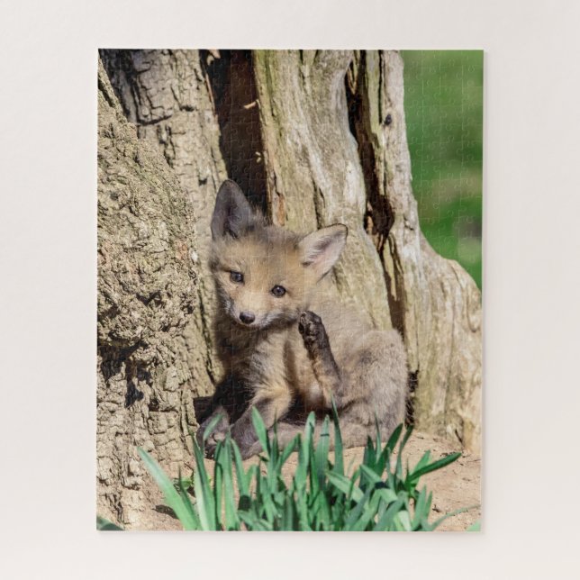 Puzzle Kit Fox dans la vallée de l'Hudson (Vertical)
