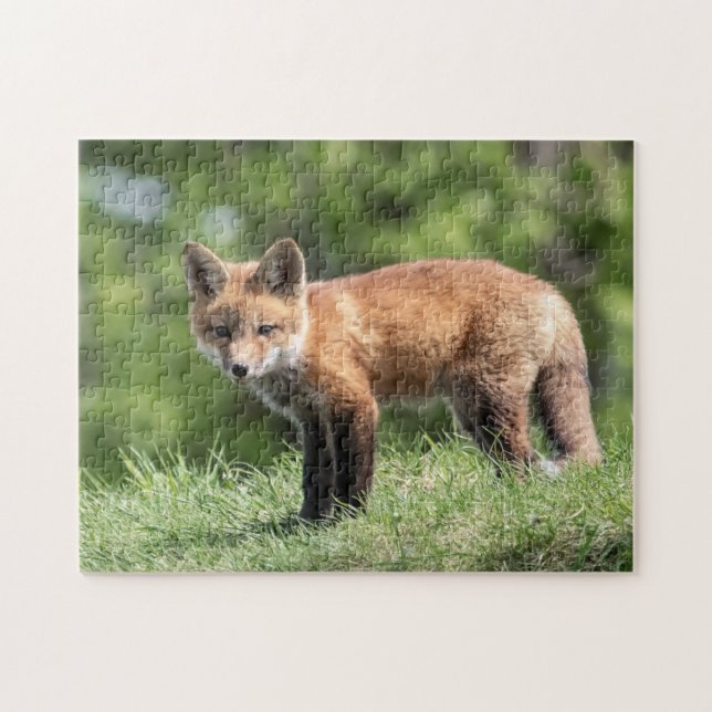 Puzzle Kit Red Fox (Horizontal)