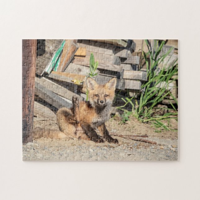 Puzzle Kit Renard Rouge dans les Adirondacks (Horizontal)