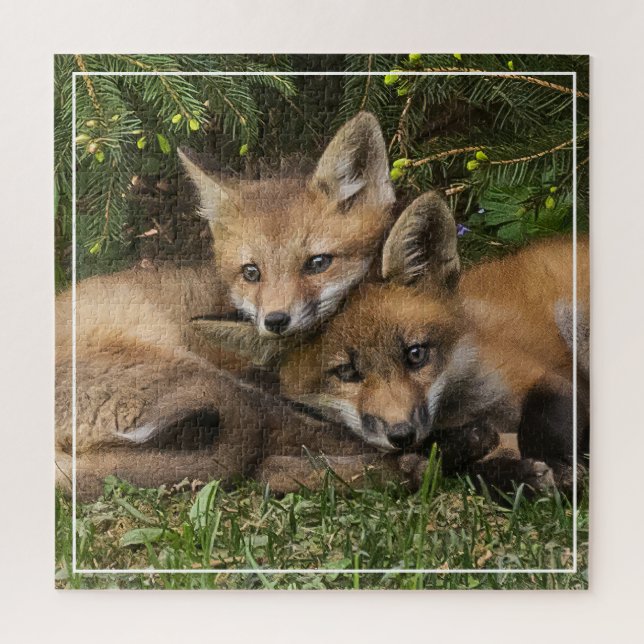 Puzzle Kits de Fox (Vertical)