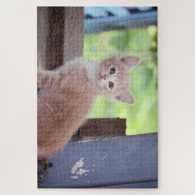 Puzzle Kitten (Vertical)
