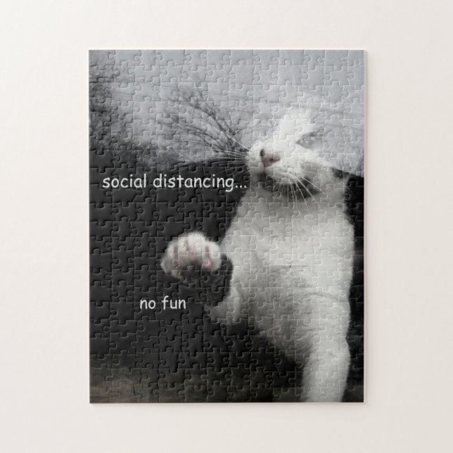 Puzzle Kitten Distances Sociales (Vertical)