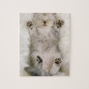 Puzzle Kitten dormant sur un tapis blanc, haut