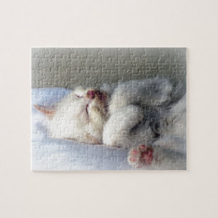 Puzzle Kitten endormi