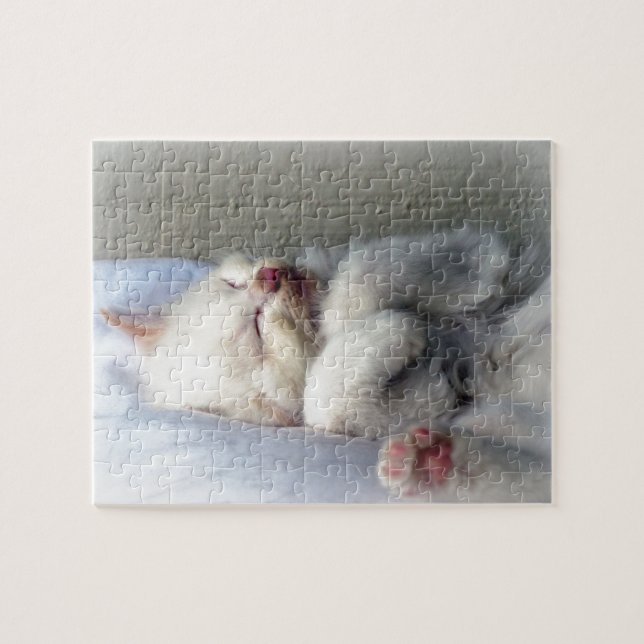 Puzzle Kitten endormi (Horizontal)