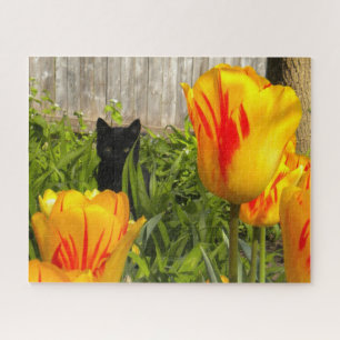 Puzzle Kitten noir dans le jardin coloré des tulipes