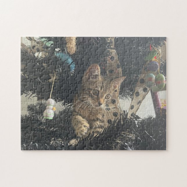 Puzzle Kitten Photo Animal Pet Cat (Horizontal)