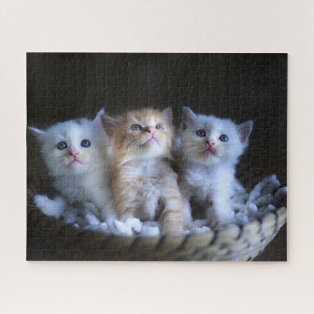Puzzle Kittens Jigsaw (Horizontal)