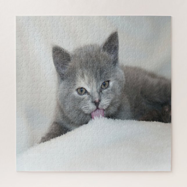 Puzzle Kitts gris Licking Neige (Vertical)