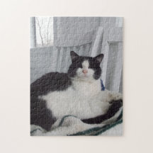 Puzzle Kitty Jigsaw