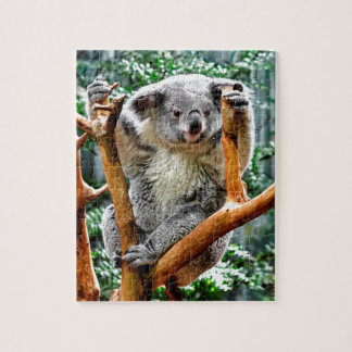 Puzzle Koala