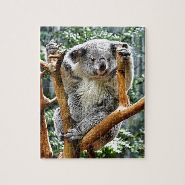 Puzzle Koala (Vertical)