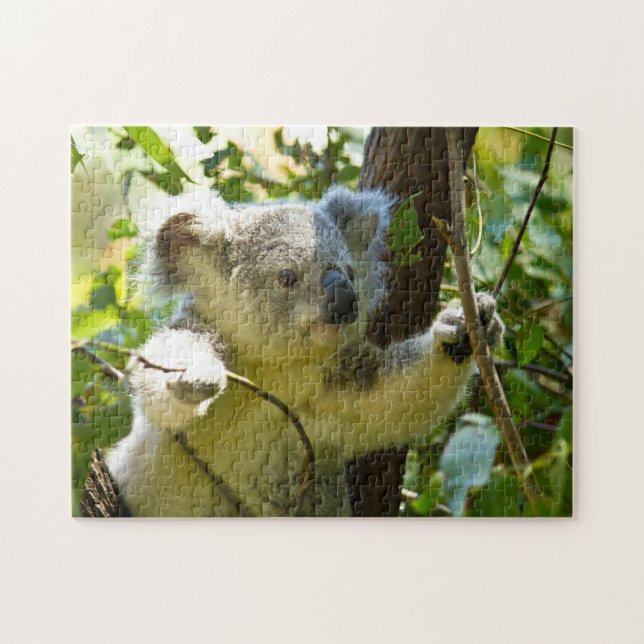 Puzzle Koala Bears. (Horizontal)