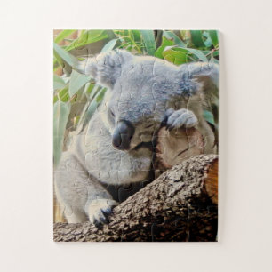 Puzzle Koala couché mou
