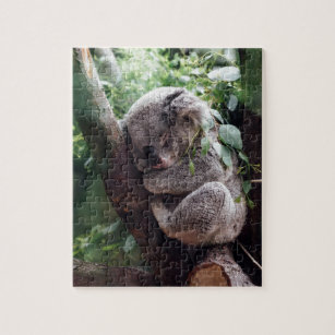 Puzzle Koala de bébé de sommeil