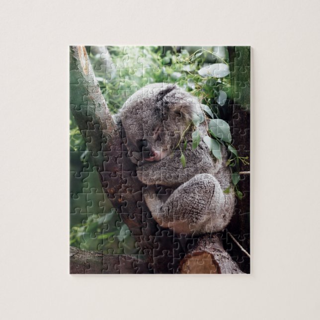 Puzzle Koala de bébé de sommeil (Vertical)