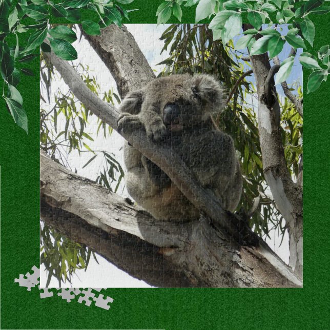 Puzzle Koala - Dormir (Créateur téléchargé)