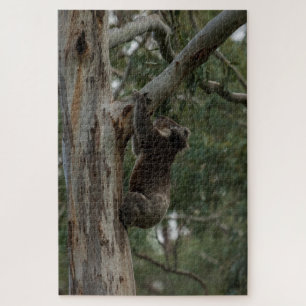 Puzzle Koala Escalade Tree Australie, 1014 pièces