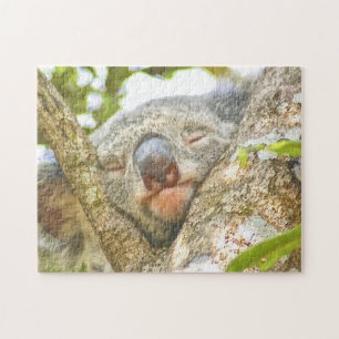Puzzle Koala Sleeping
