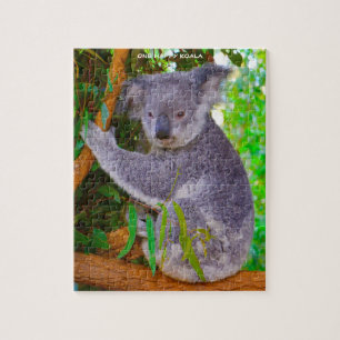 Puzzle Koalas