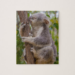 Puzzle Koalas Australie