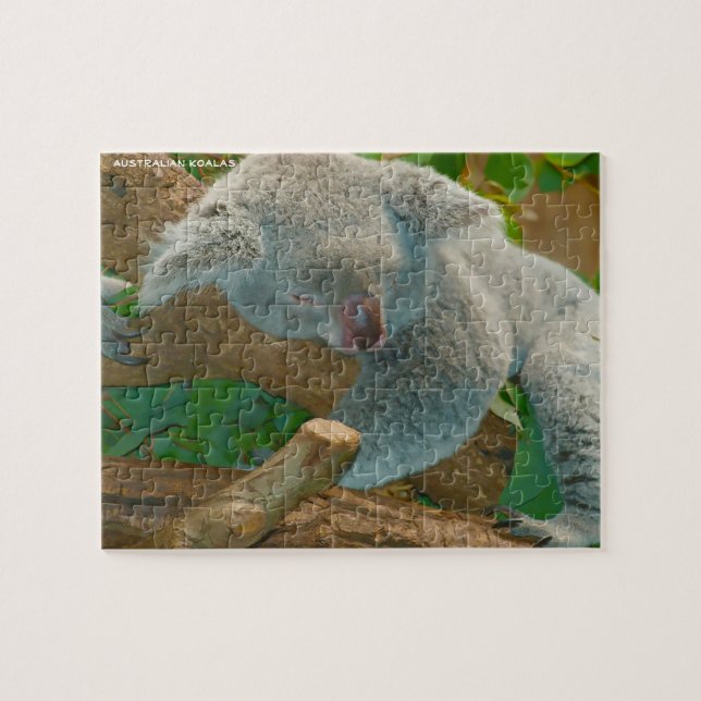Puzzle Koalas australiens (Horizontal)