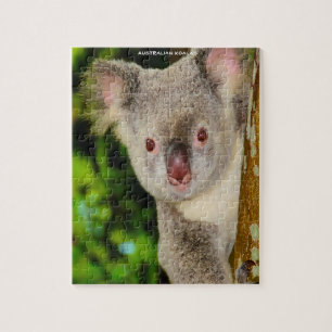 Puzzle Koalas australiens
