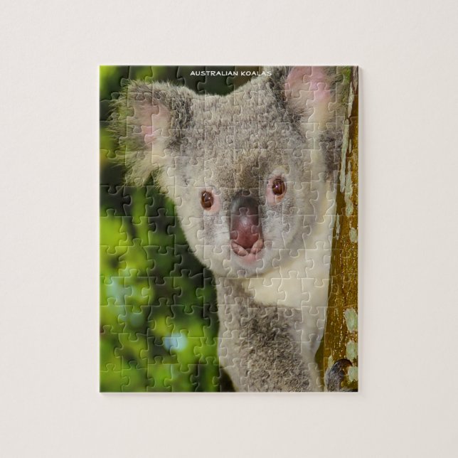 Puzzle Koalas australiens (Vertical)