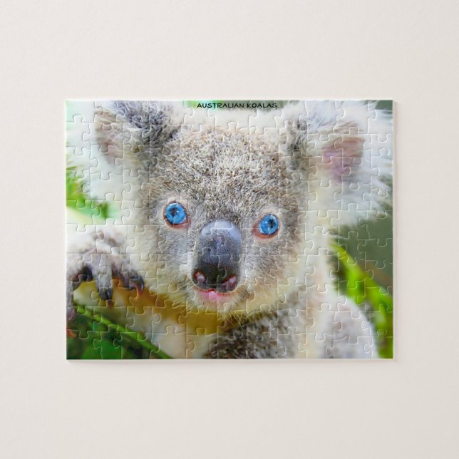 Puzzle Koalas australiens (Horizontal)