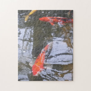Puzzle Koi Fish