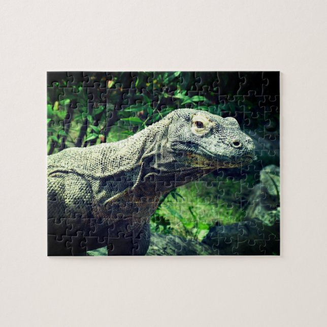 Puzzle Komodo Dragon (Horizontal)