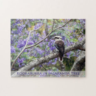 Puzzle Kookaburra et Jacaranda