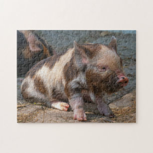 Puzzle KuneKune Piglet