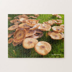 Puzzle La chute des champignons