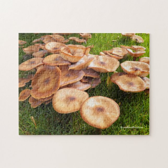 Puzzle La chute des champignons (Horizontal)