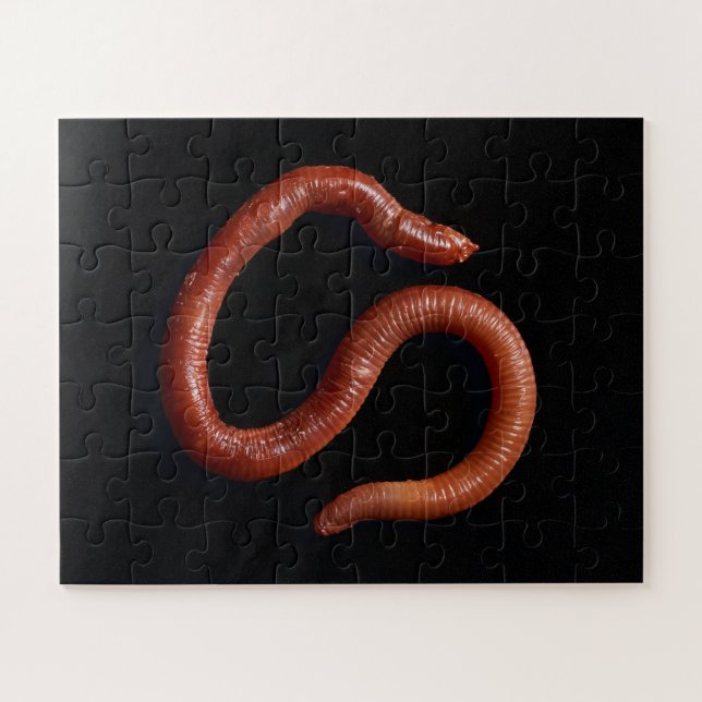 Puzzle     La Collection de Vers  (Horizontal)