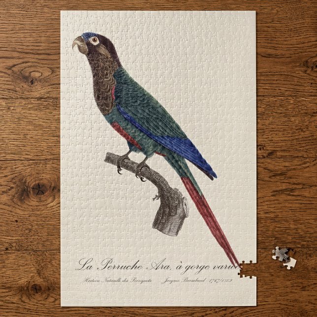 Puzzle La conure emmaillotée, Pyrrhura Picta (The Painted Parakeet, Pyrrhura Picta. Jigsaw Puzzle)