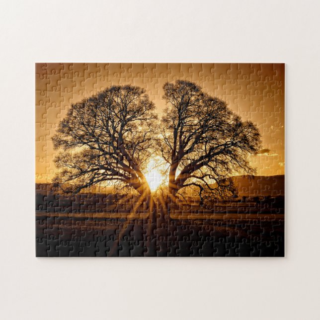 Puzzle La Dernière explosion du coucher du soleil - 11x14 (Horizontal)