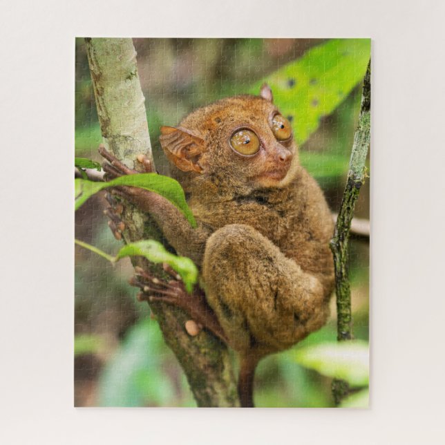 Puzzle La faune du singe Tarsier (Vertical)
