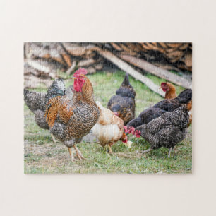Puzzle La Ferme De Famille Des Oiseaux De Poulet Sauvage