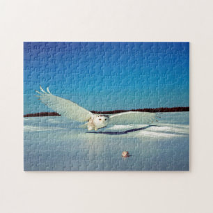 Puzzle La grande chouette harfang oiseau de proie