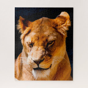 Puzzle La lionne Big Cats.