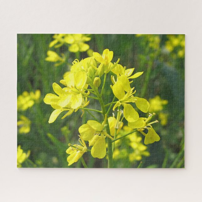 Puzzle La moutarde jaune lumineuse fleurit casse-tête (Horizontal)
